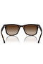 Rb4420 710 13 65 Unisex Sunglasses - 4
