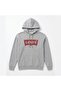Cotton Hooded Gray Men's Sweat Standard Graphic Hoodie