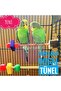 Trendme Natural Beaded Bird Perches 2 Pieces - 2