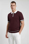 Burgundy Polo Collar Zippered Short Sleeve Men's T-Shirt - 4