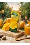 Cool Mango - 2
