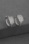 316 L Stainless Steel - Anti-Allergic - Non-Tarnish - Zircon Stone - Silver - Women's Earrings