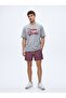 Printed Regular Gray T-Shirt