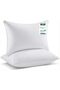® Premium Supersoft Stripe Pillow Standard Size 40x60cm /15''x 24'' White Back Sleeper Pillow (Pack of 2)