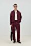 Burgundy Modal Blend Striped Relaxed Men's Trousers - 2