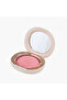 Radiant Baked Blush Compact - 2