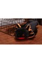 Cute Soft Kawaii Compatible Axolotl Toy Plush 44 cm Imported Product - 3