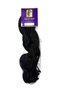 Hair French Curls Braids Deal Pack of 6 – 22 Inches Long Color B1 - 3