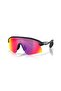 Sunglasses 9518 02 Stunt Devil S
