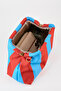 Women's River Blue-Burgundy Striped Lined Bag with Removable Chain Strap Hand and Shoulder Bag - 4