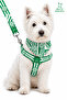 Adjustable Printed Scarf, Chest Harness and Travel Strap Set World Cup Series - 2