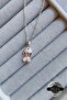 Zircon Stone Fish Model 316 L Steel Necklace