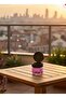 Glass Jar Ashtray with Lid – Anti-Odor Stylish Design 12 Pieces - 2