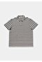 Regular Fit Polo Neck Striped Men's Navy Blue Short Sleeve T-Shirt - 5