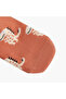Pack of 7 Baby Boys Socks with Dinosaur Print - 5