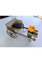 PAYTAK ROBOT - 4
