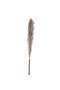Natural Dried Pampas Grass 110cm - Natural - 5