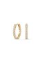 Steel Zircon Hoop Tennis Earrings