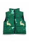 Dinosaur Patterned Baby Vest - 2
