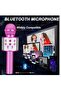 Bluetooth Karaoke Microphone Wireless,Portable Singing Microphone for Kids Adults - 3