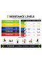Loop Resistance Band Set for Fitness, Yoga, Pilates & Strength Training – 5 Resistance Levels (10LB-40LB) - 2