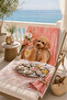 Coffee Color Dog Tableware Patterned 70X150 Beach Towel - 7