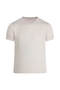 Taş Regular Fit Crew Neck T-Shirt