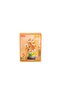 Dk002 Jaki Daisy Model 267 Pieces Block Toy - 2