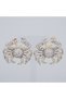 Design Women's Earrings Vip Steel Gold Color White Zircon Processing Crab Sign Women's Jewelry - 2