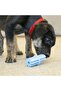 Puppy Teething Stick Puppy Dog Teething Toy L - 6