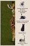 Sdtamor Lion Patterned Modern Woven Base Decorative Carpet Sdtamor2165 - 5