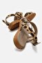 Buckle-Strap Double-Strapped Women's Sandals Leopard - 3