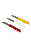 12-Piece Stainless Steel Fruit Knife Set – 71 mm | Compact & Portable