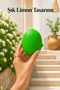 Lemon-Shaped Manual Citrus Juicer with Chamber, Strainer, and Pouring Spout Practical Fruit Juicer - 3
