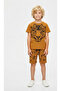 Boy's Shorts and T-Shirt Set
