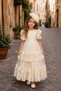 Girls' Evening Dress with Buckle Accessories, Princess Dress, Birthday and Party Dress - 2