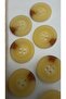 Polyester Button 20 mm 8 Pieces - 2