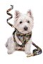 Adjustable Scarf, Chest Harness and Travel Strap Set of 3 - 2