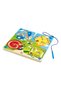 MAGNETIC INSECT MAZE - 4
