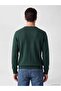Crew Neck Men's Knitwear Sweater (W6) - 3