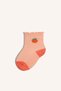 Fruit Printed Seamless 5-Piece Cotton Long Socks for Baby Girl H9644A5Ns - 2