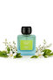 Smart Home Aroma Diffuser with Luxury Fragrance Dispersion and Premium Signature Scents