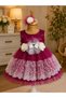Baby Girl Lace Dress Wedding Religious Ceremony Dress Baby Gift - 2