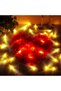 30 LED Balloon Lights, Mini LED Lights, Party Lights, Warm White Balloon Lighting, Paper Lanterns, for Weddings, Parties, Birthdays, and New... - 6