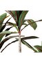 210cm Faux Red Edge Iron Tree, Artificial Tropical Cordyline Floor Plant for Indoor Decor - 4