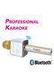 Wireless Karaoke Mic with Bluetooth Dual Speakers and Equalizer (Professional Karaoke)