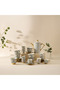 Mosaica 6-Piece Bone China Kahwa Cup Set - 80 ml - 6