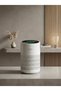 Ec39 Smart Air Purifier Pm2.5 Hepa Filter Digital Display Aromatherapy Assisted Air Purifier