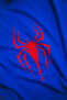 تي شيرت أزرق كبير الحجم مطبوع عليه Cyber ​​Spider للجنسين - 6