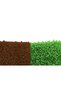Miyuki Delica 11-0 Brick Color and Grass Green Bead Set